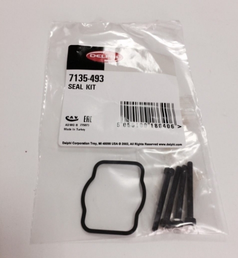 Picture of 7135-493 DELPHI INTERNAL O-RING KIT