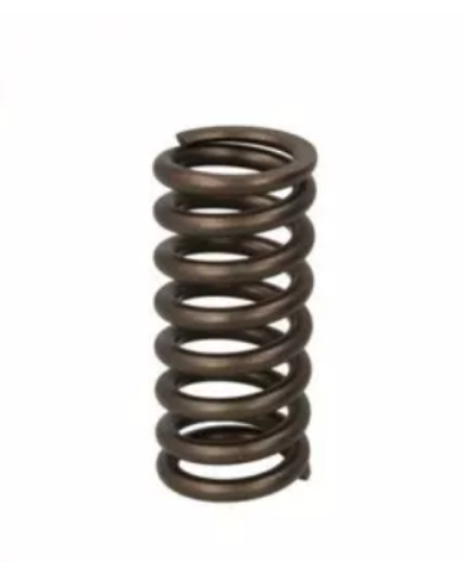 Picture of 7204-0263 DELPHI PLUNGER SPRING